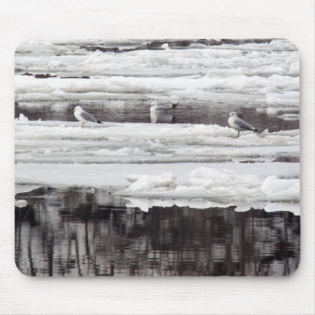Gulls On Ice Mouse Pad (Front)