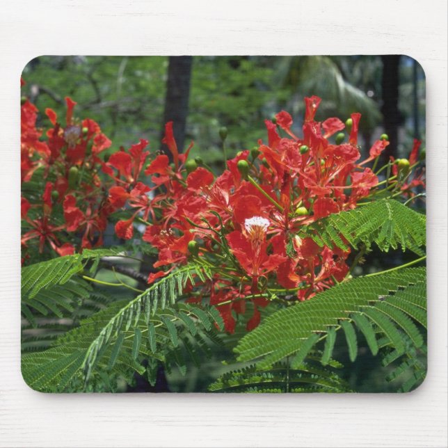 Gulmohar Group Mouse Pad (Front)