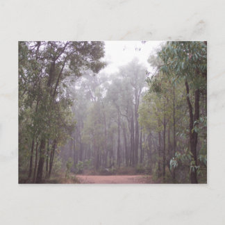 Gum Trees Postcard