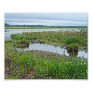 Gun Club Lake and Marshes Photo Print