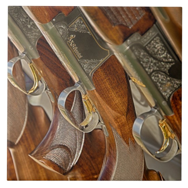 Gun Collection Display Tile (Front)