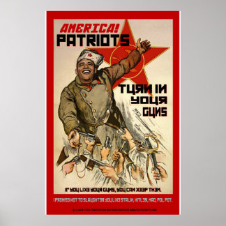 Gun Confiscation - 2nd Ammendment Poster