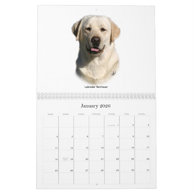 Gundog Breeds Calendar (Jan 2026)