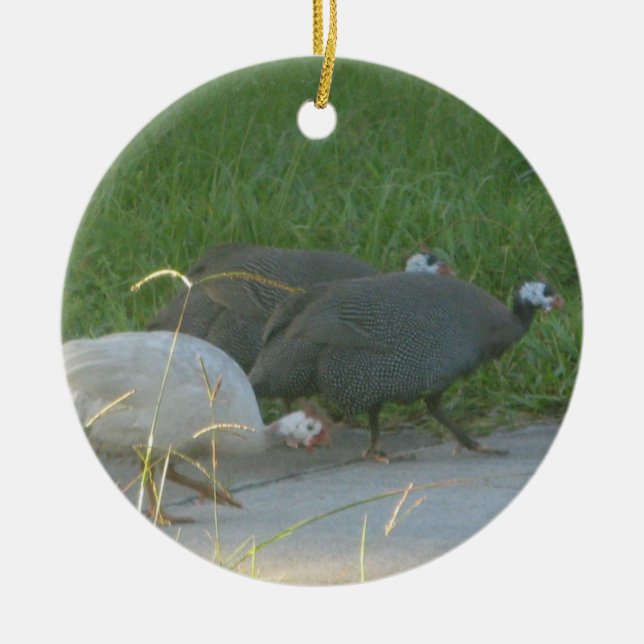 Guniea Fowl Ornement (Devant)