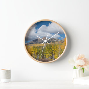 Gunnison National Forest, Colorado Clock