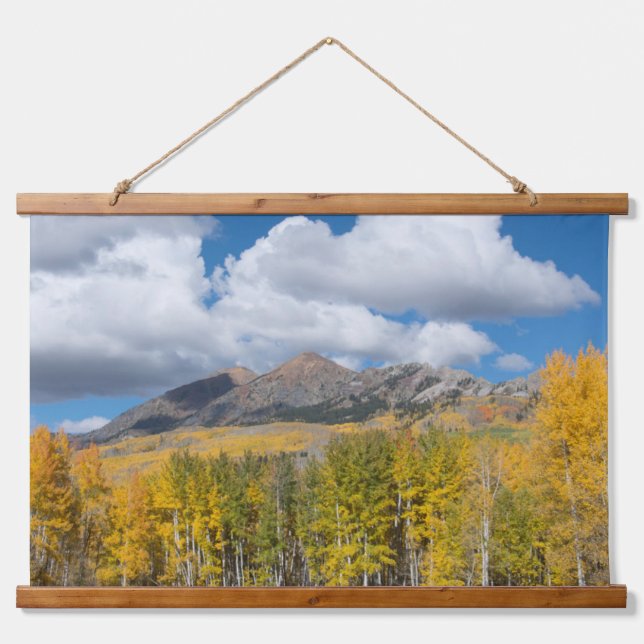Gunnison National Forest, Colorado Hanging Tapestry (Front)