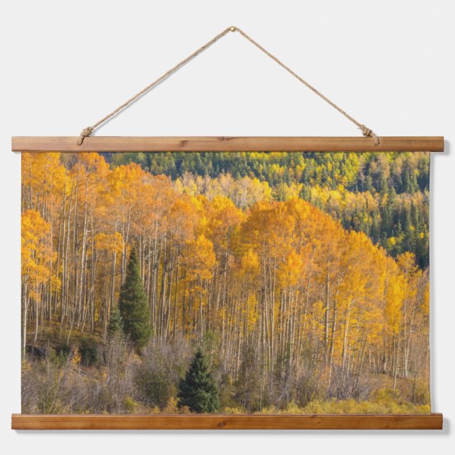 Gunnison National Forest Hanging Tapestry (Front)