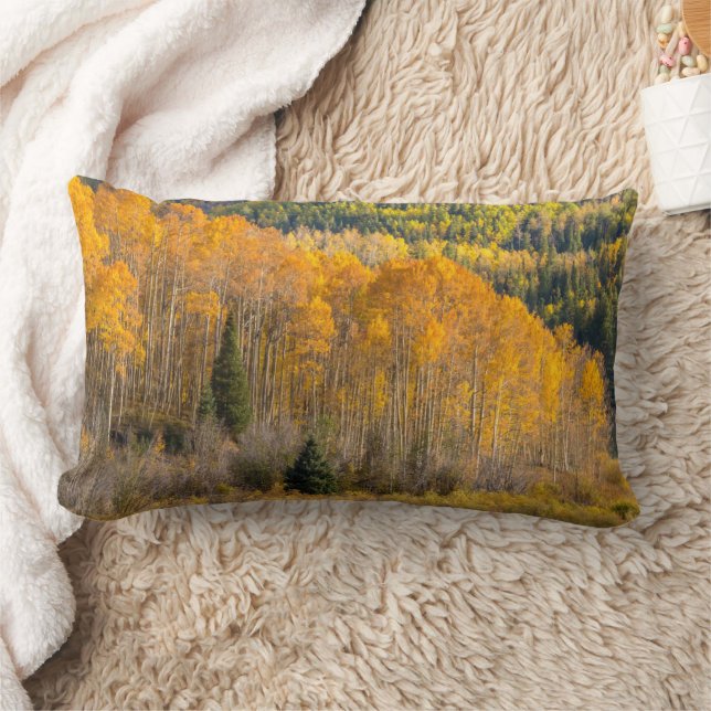 Gunnison National Forest Lumbar Pillow (Blanket)