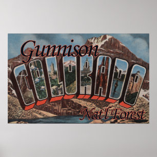 Gunnison Nat'l Forest, Colorado Poster