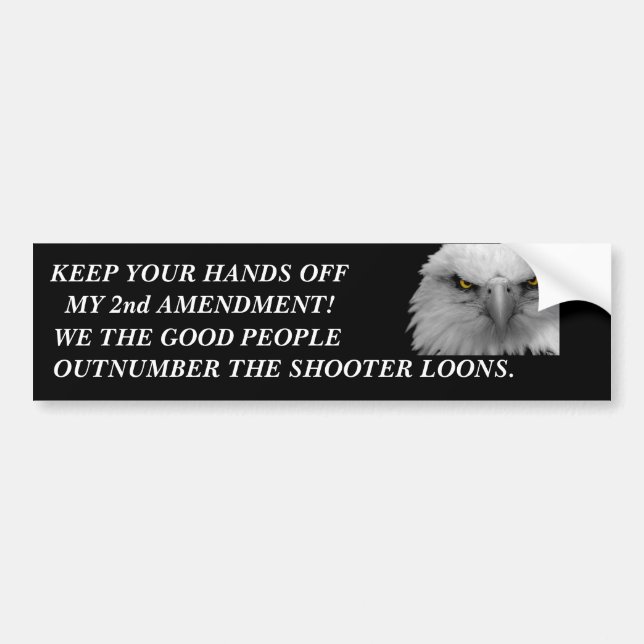 GUNS BUMPER STICKER (Front)