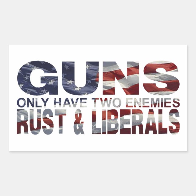 GUNS STICKER (Front)