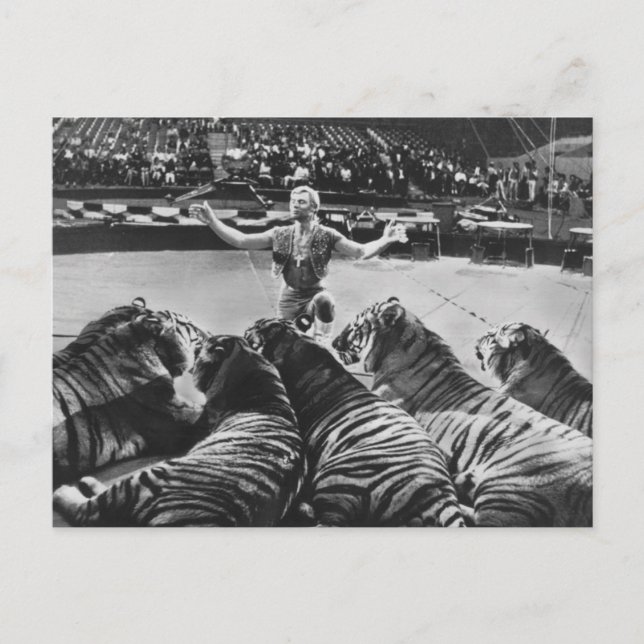 Gunther Gebel-Williams 1969 Postcard (Front)