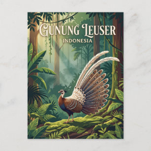 Gunung Leuser National Park Indonesia Postcard