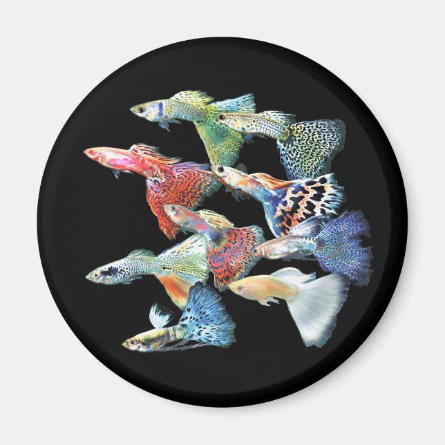 Guppies Magnet (Front)