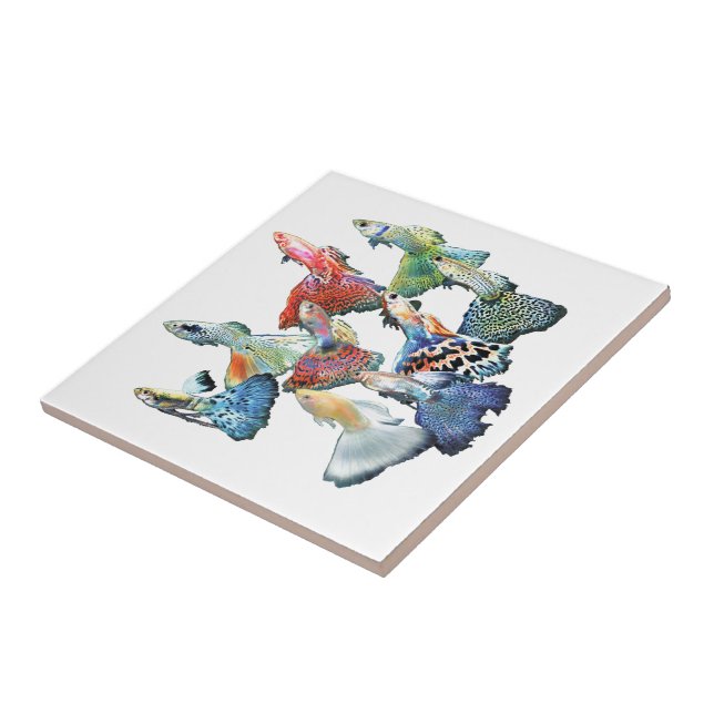 Guppies Tile (Side)