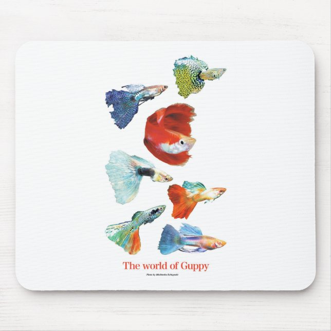 Guppy goods mouse pad (Front)