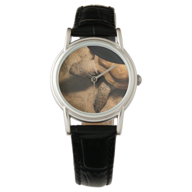Gus the Tortoise Watch (Front)