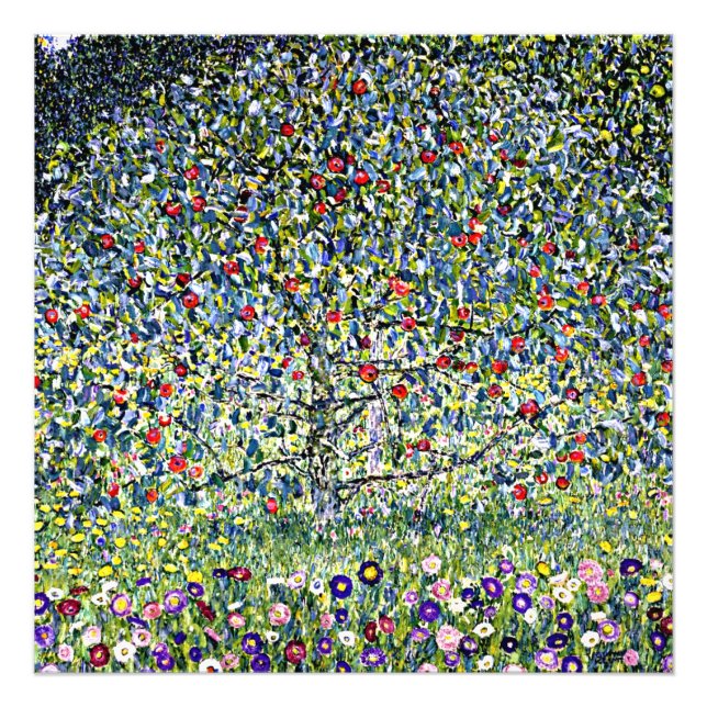 Gustav Klimt - Apple Tree, 1 Photo Print (Front)