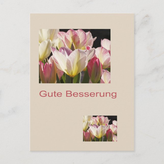 Gute Besserung Postkarte Postcard (Front)