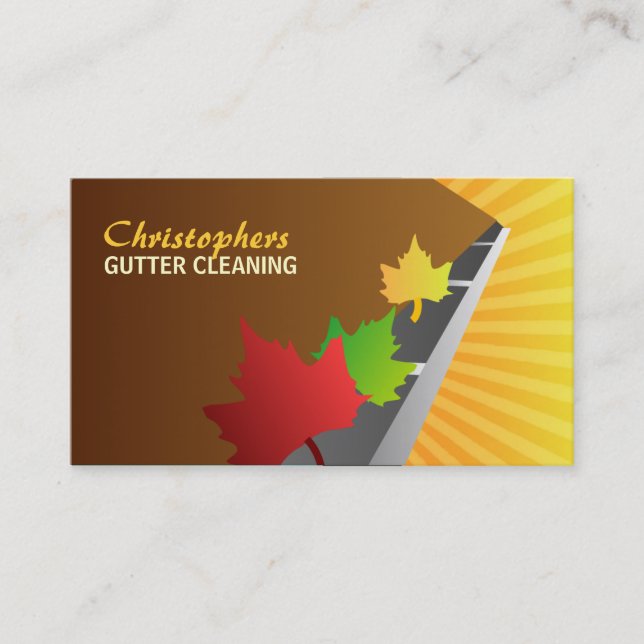 Gutter Cleaning Business Cards (Front)