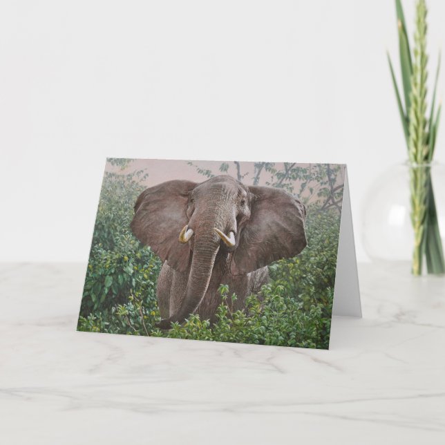 Guy Combes Wildlife Art Greeting Cards (Front)