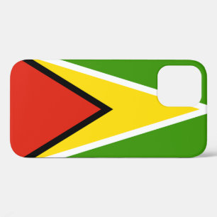Guyana flag iPhone 12 case