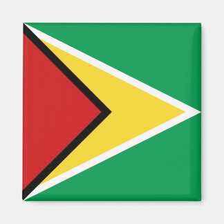 Guyana Flag Magnet