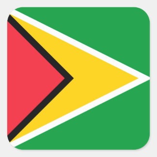 Guyana Flag  Square Sticker