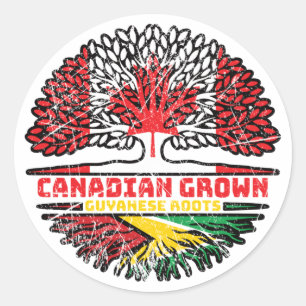 Guyana Guyanese Canadian Canada Tree Roots Flag Classic Round Sticker