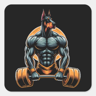 GYM doberman dog bodybuilder powerlifter Square Sticker