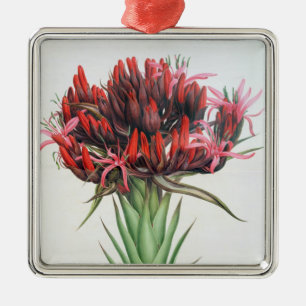 Gymea Lily, 1826 (w/c on paper) Metal Ornament
