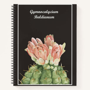 Gymnocalycium Baldianum Cactus Notebook