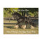 Gypsy Gold Gypsy Vanner postcard BB King