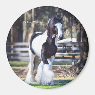 Gypsy Gold King William magnet