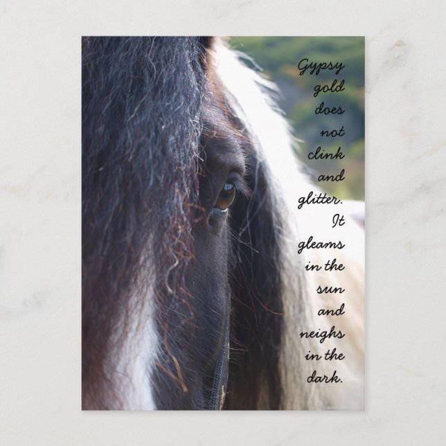 Gypsy Gold Postcard (Front)