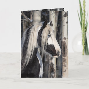 Gypsy in the Forest - Holiday Horse Greeting Card