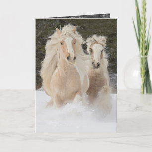 Gypsy Mare and Foal Run Horse Greeting Card