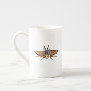 Gypsy moth, Lymantria dispar dispar Zoological  Bone China Mug