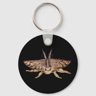 Gypsy moth, Lymantria dispar dispar Zoological  Keychain