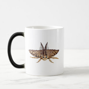 Gypsy moth, Lymantria dispar dispar Zoological  Magic Mug