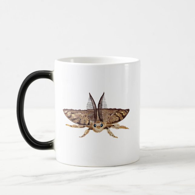 Gypsy moth, Lymantria dispar dispar Zoological  Magic Mug (Left)