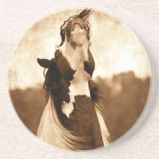Gypsy Vanner Coaster