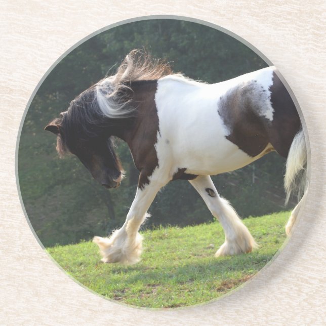 Gypsy Vanner Coaster (Front)