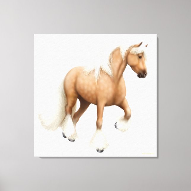 Gypsy Vanner Cob Draught Horse Wrapped Canvas (Front)