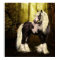 Gypsy Vanner -Gypsy Gold Art Print