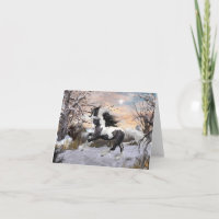 Gypsy Vanner Horse Holiday Card