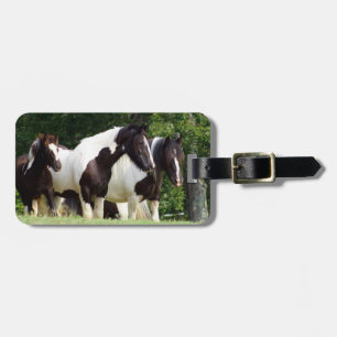 Gypsy Vanner Luggage Tag