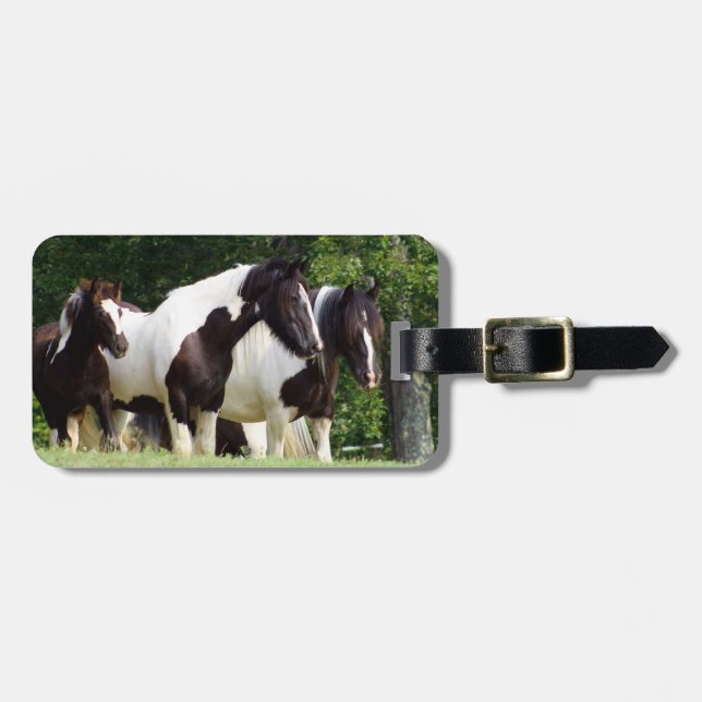 Gypsy Vanner Luggage Tag (Front Horizontal)
