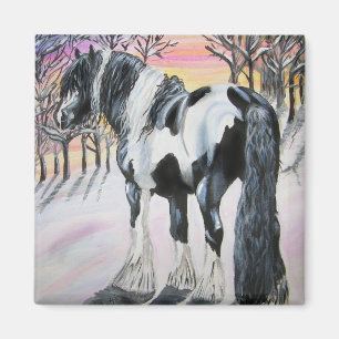 gypsy vanner magnet