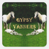 Gypsy Vanners Square Sticker